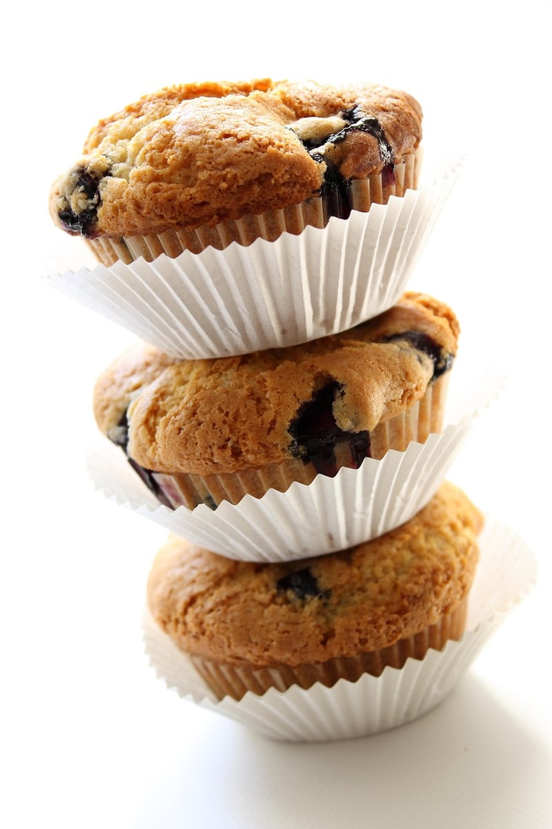 Coconut Flour Blueberry Muffins